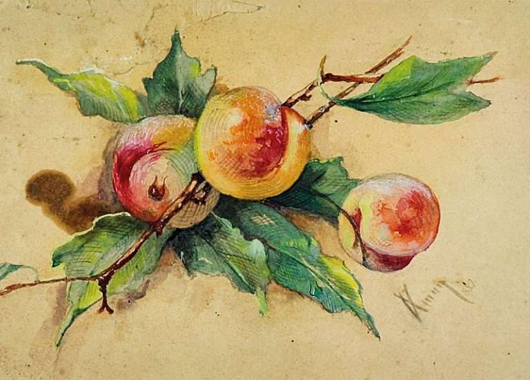 How to Cook Brandied Apricots
