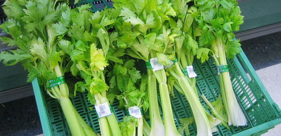 For the Love of Celery