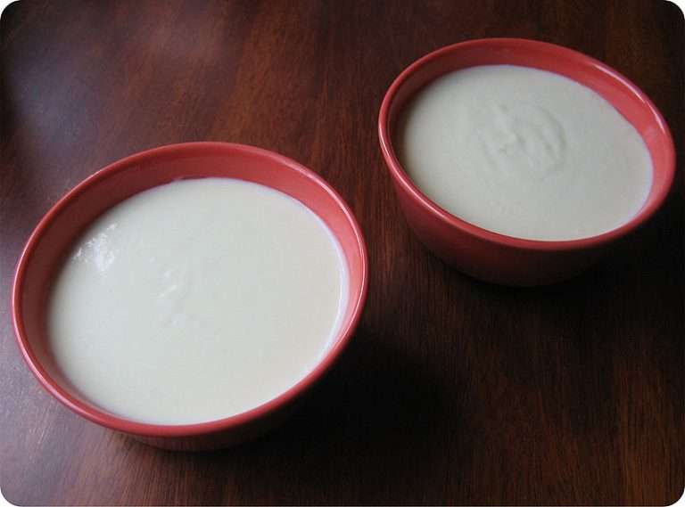How to Make Vichyssoise Soup: National Vichyssoise Day