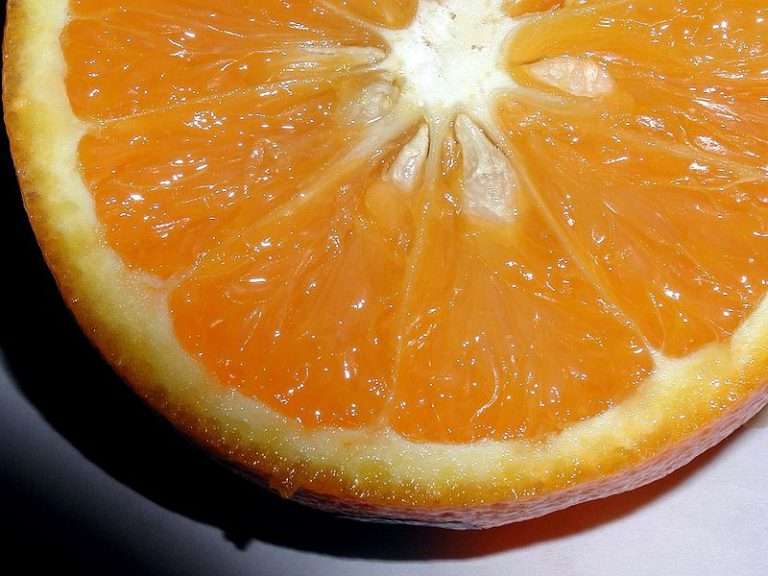 How to Make Iced Orange Grog with Rum: Father’s Day Flavor