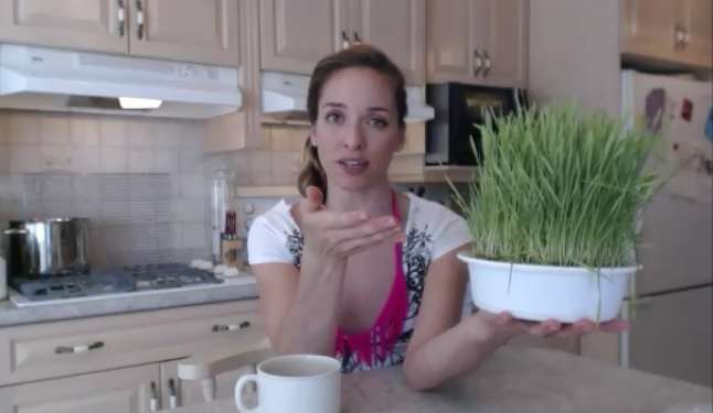 Web Chef Review: Organic Wheat Grass Living Greens by Sprouts for Life