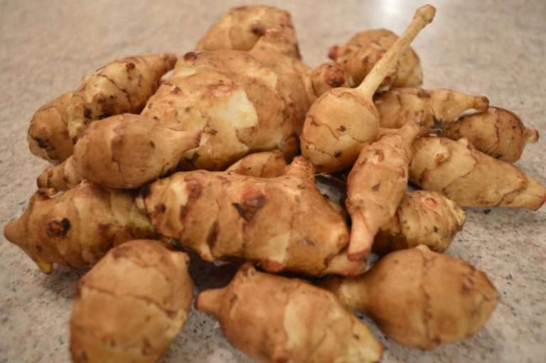 Web Chef Review: Ontario Sunchokes at Harvest Barn Country Markets