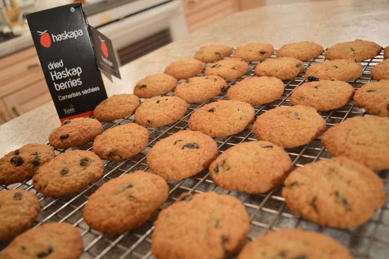 How to Bake Haskap Oatmeal Cookies + Video