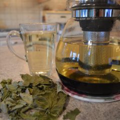 How to Brew Organic Red Currant Leaf Tea + Video