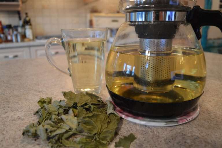 How to Brew Organic Red Currant Leaf Tea + Video