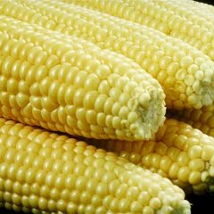 How to Boil Corn on the Cob + Video