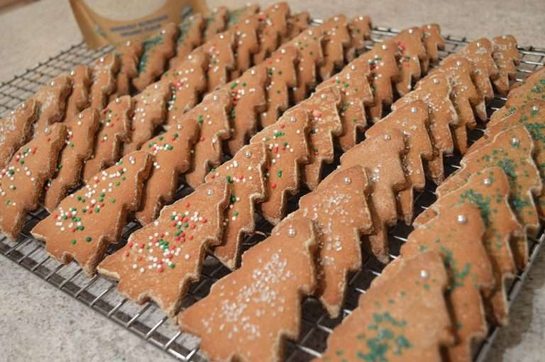 Gluten & Nut Free Tiger Nuts Gingerbread Cookies + Video