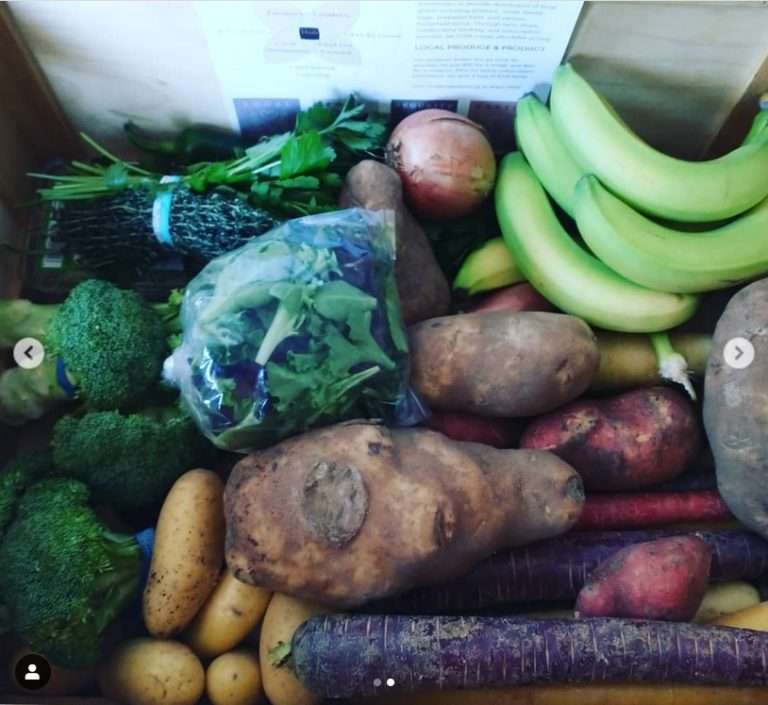 Web Chef Review: Small Scale Farms Produce Box Subscription